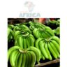 BANANE PLANTAIN VERTE 1Kg