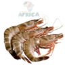 GAMBAS 1Kg