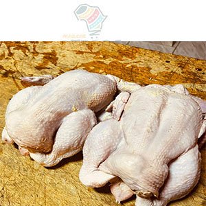 POULET DE CHAIRE SUR MARCHE AFRICA