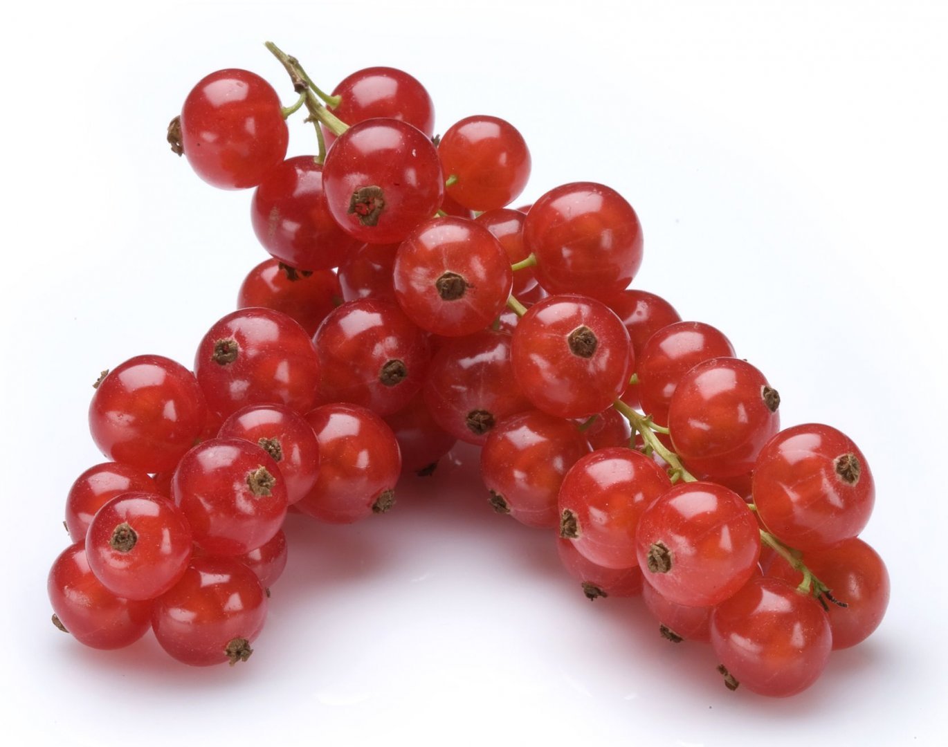 groseilles rouges